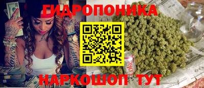 mdpv Гусев