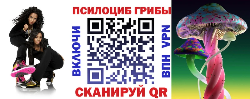 Псилоцибиновые грибы Magic Shrooms  Кисловодск 