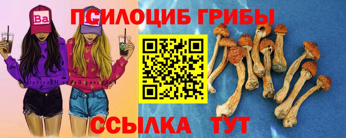 Псилоцибиновые грибы Cubensis  Псилоцибиновые грибы MAGIC MUSHROOMS  Вход с VPN  Кисловодск 