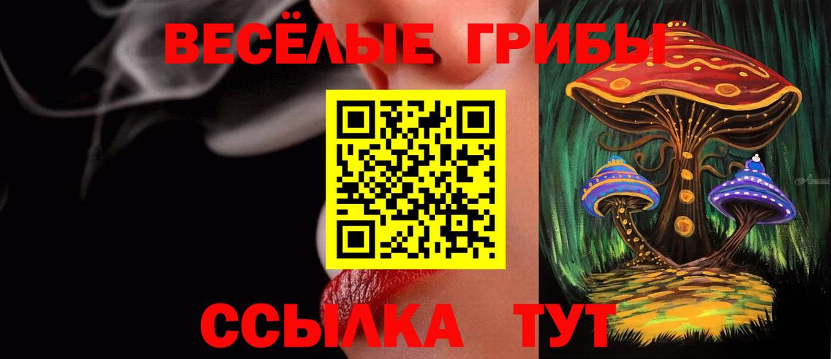 Кетыч  Диски  A-PVP  Хэш  Кисловодск  Вход с VPN  Cocaine  МЕФ  Каннабис 