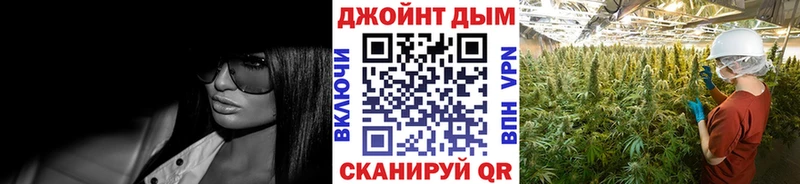 Конопля планчик  Кисловодск 